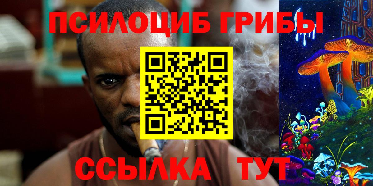 Псилоцибиновые грибы прущие грибы  Вход с VPN  Вязники 